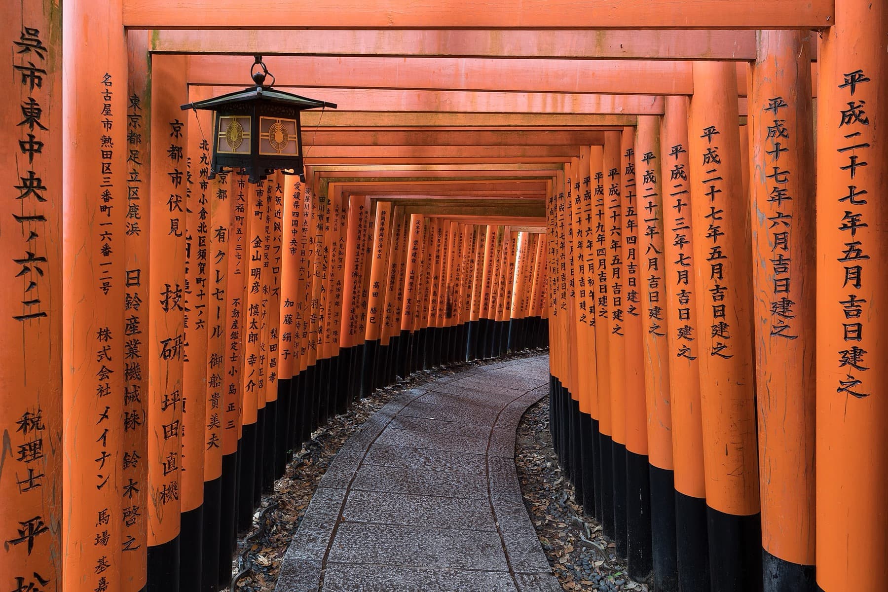 Torii path at Fushimi Inari Shrine