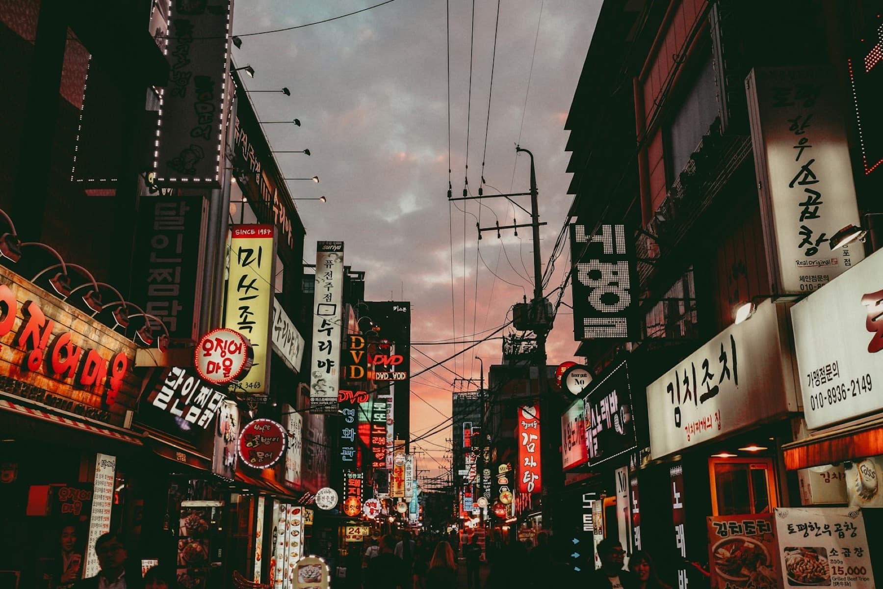 Tokyo — The Diaspora Guide to Not Overplanning