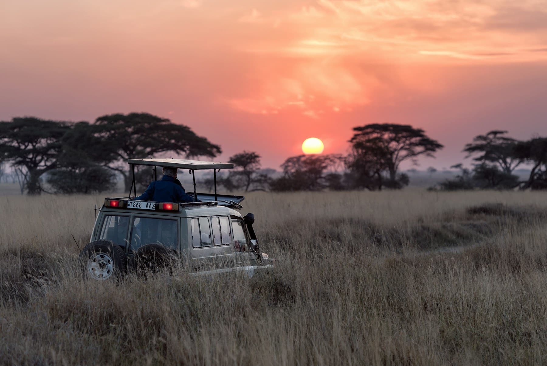 Kenya vs Tanzania, The First Safari Is a Test of What Kind of Luxury You Actually Like
