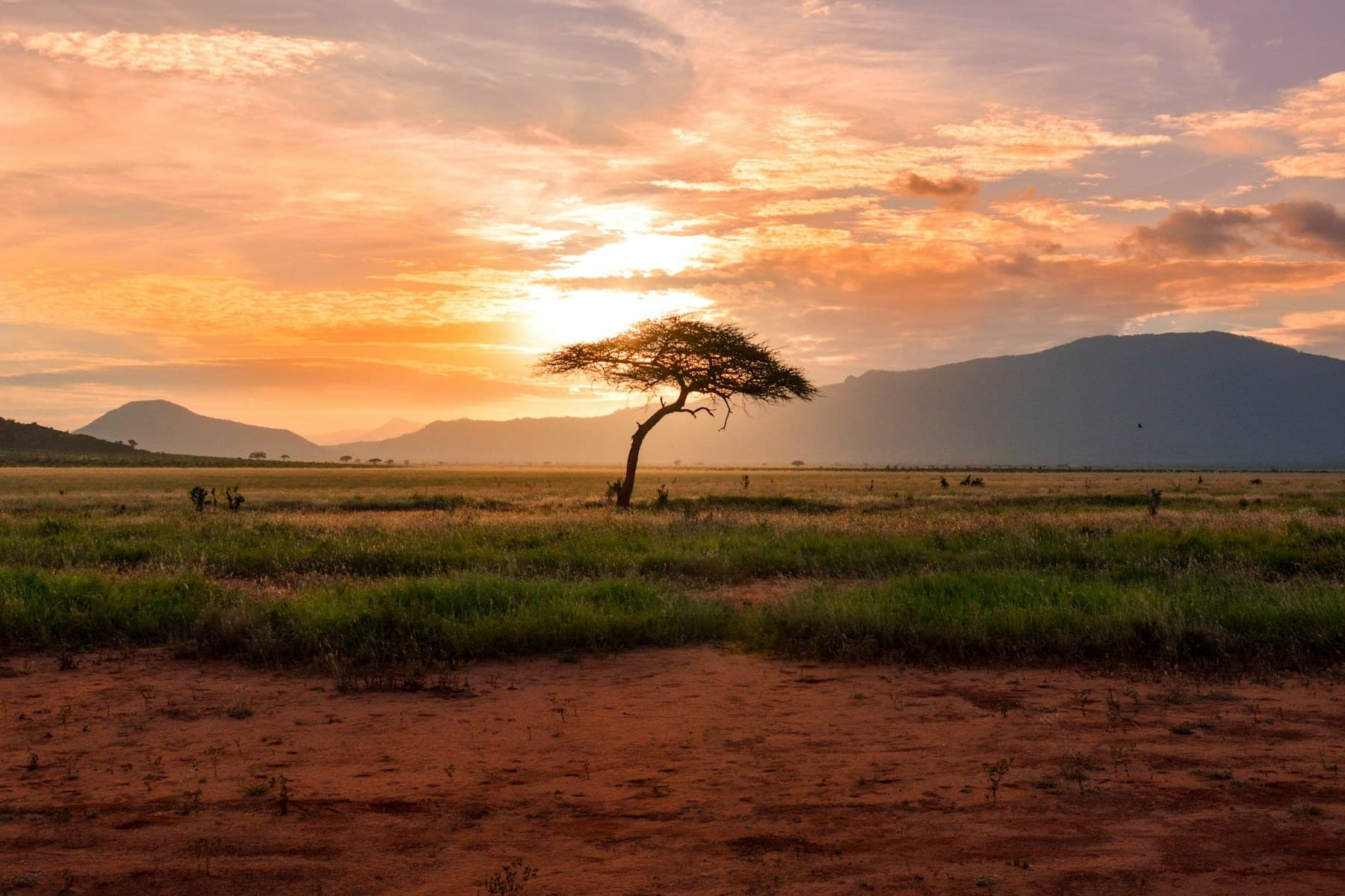 The First Safari Is a Test of What Kind of Luxury You Actually Like — The First Safari Is a Test of What Kind of Luxury You Actually Like