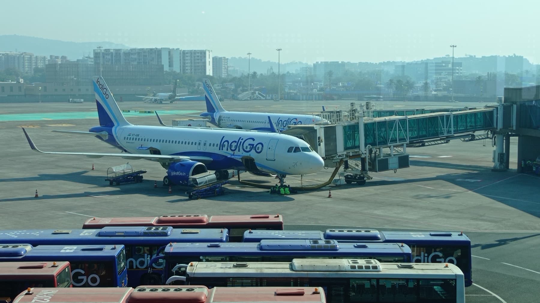 IndiGo Airbus jets at the gate with branded airport buses — Willie Walsh Leaves IATA Today. On Monday He Runs IndiGo.