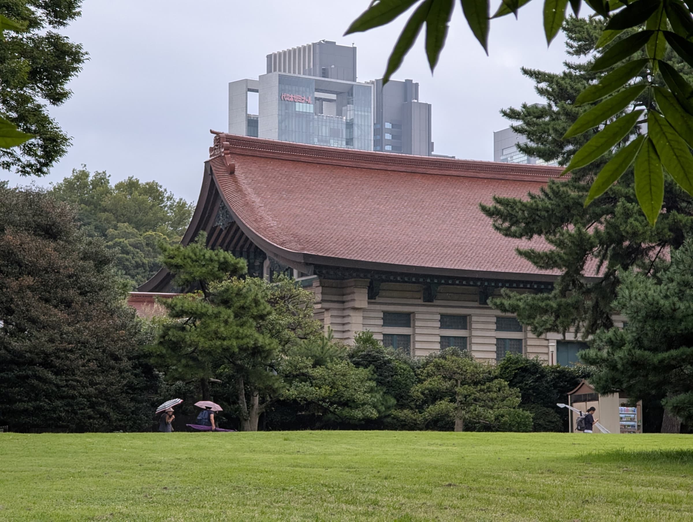 Meiji Jingu shrine grounds in Tokyo, September 2024 — Japan’s Visitor Map Is Changing—Even If the Sidewalk Still Feels Full