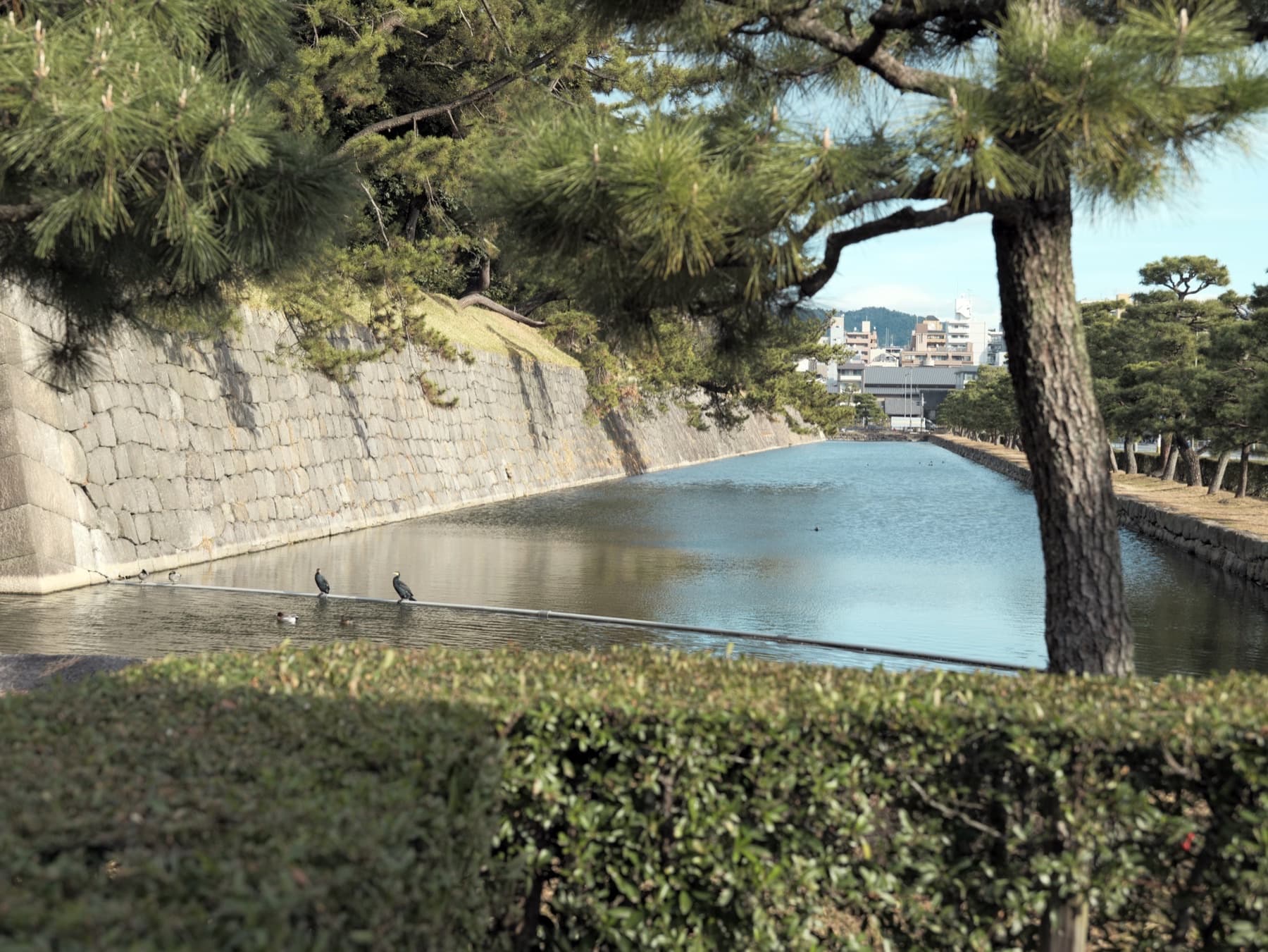 Outer stone walls and pine trees reflected in the moat at Nijō Castle in Kyoto