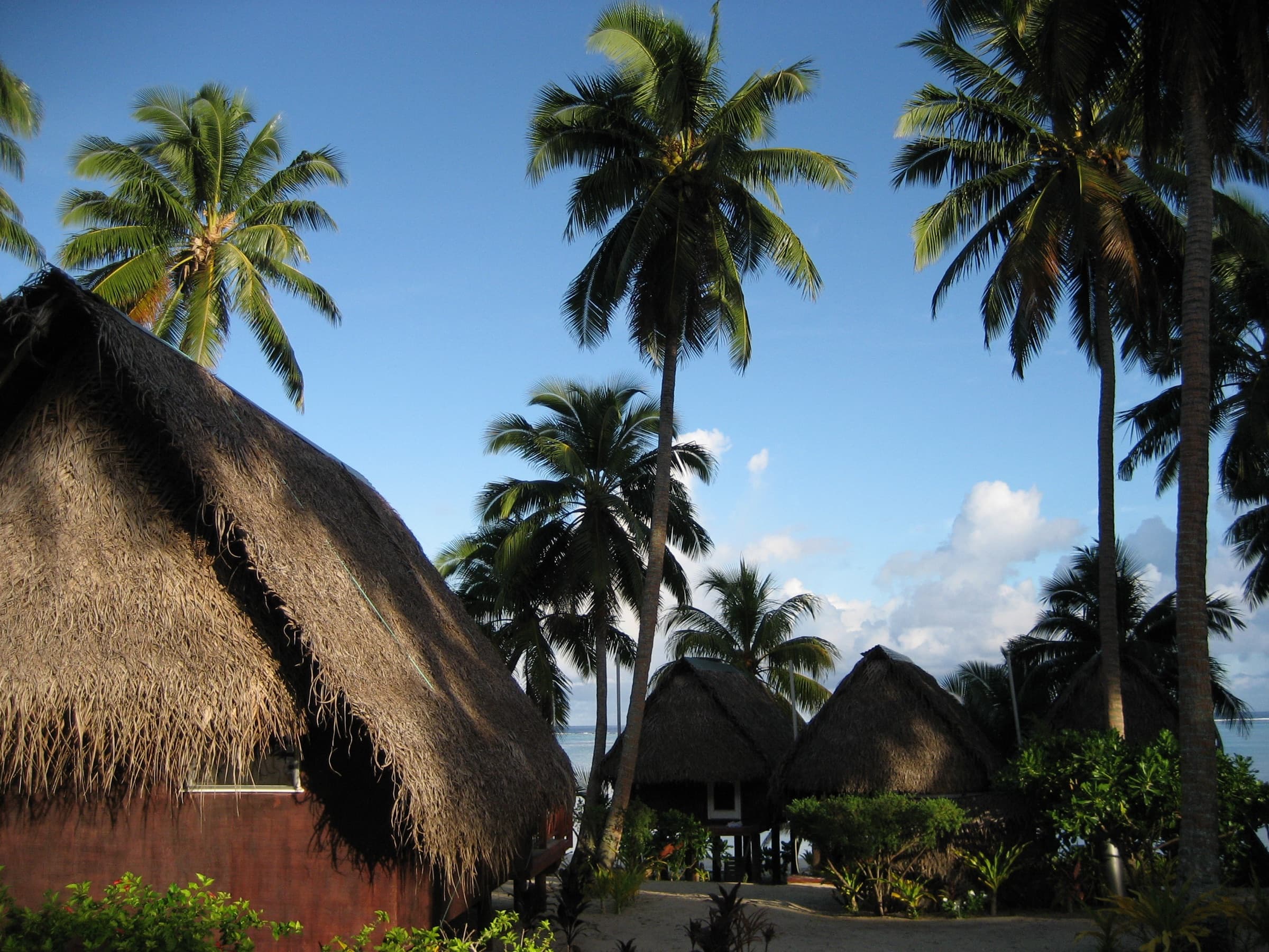Paradise Cove shoreline on Aitutaki, Cook Islands