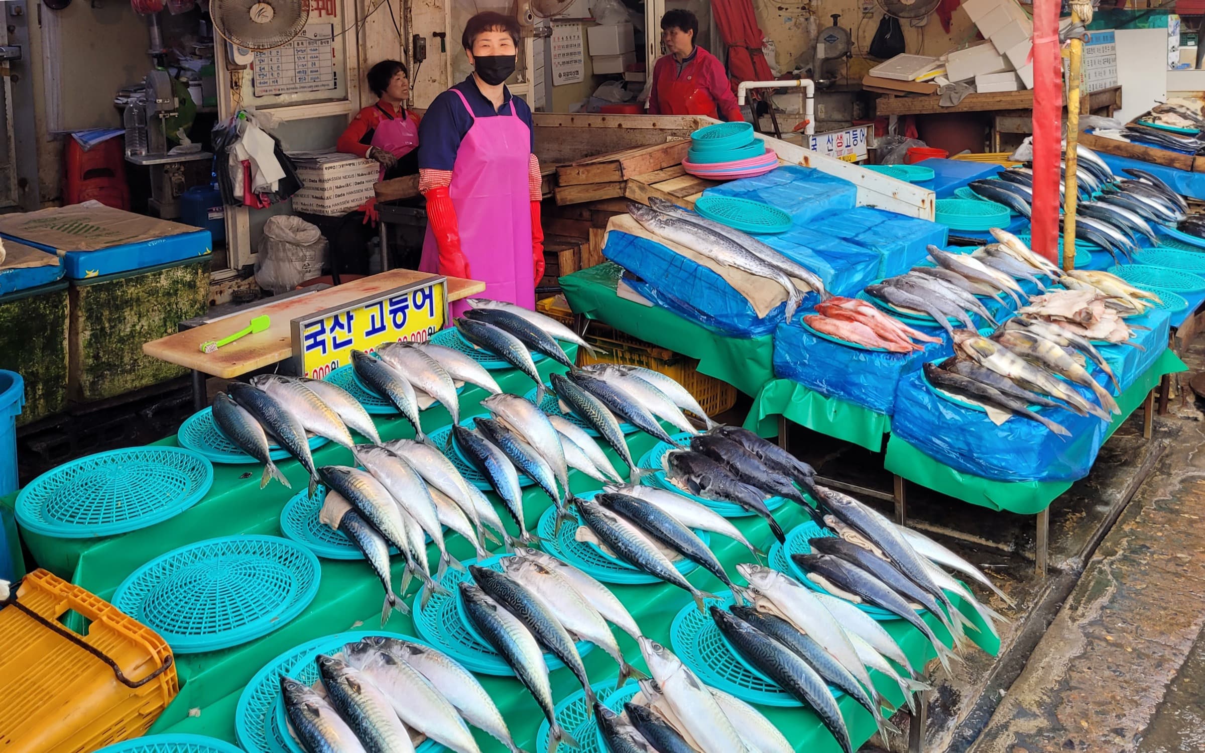 Seafood stalls inside Jagalchi Market in Busan