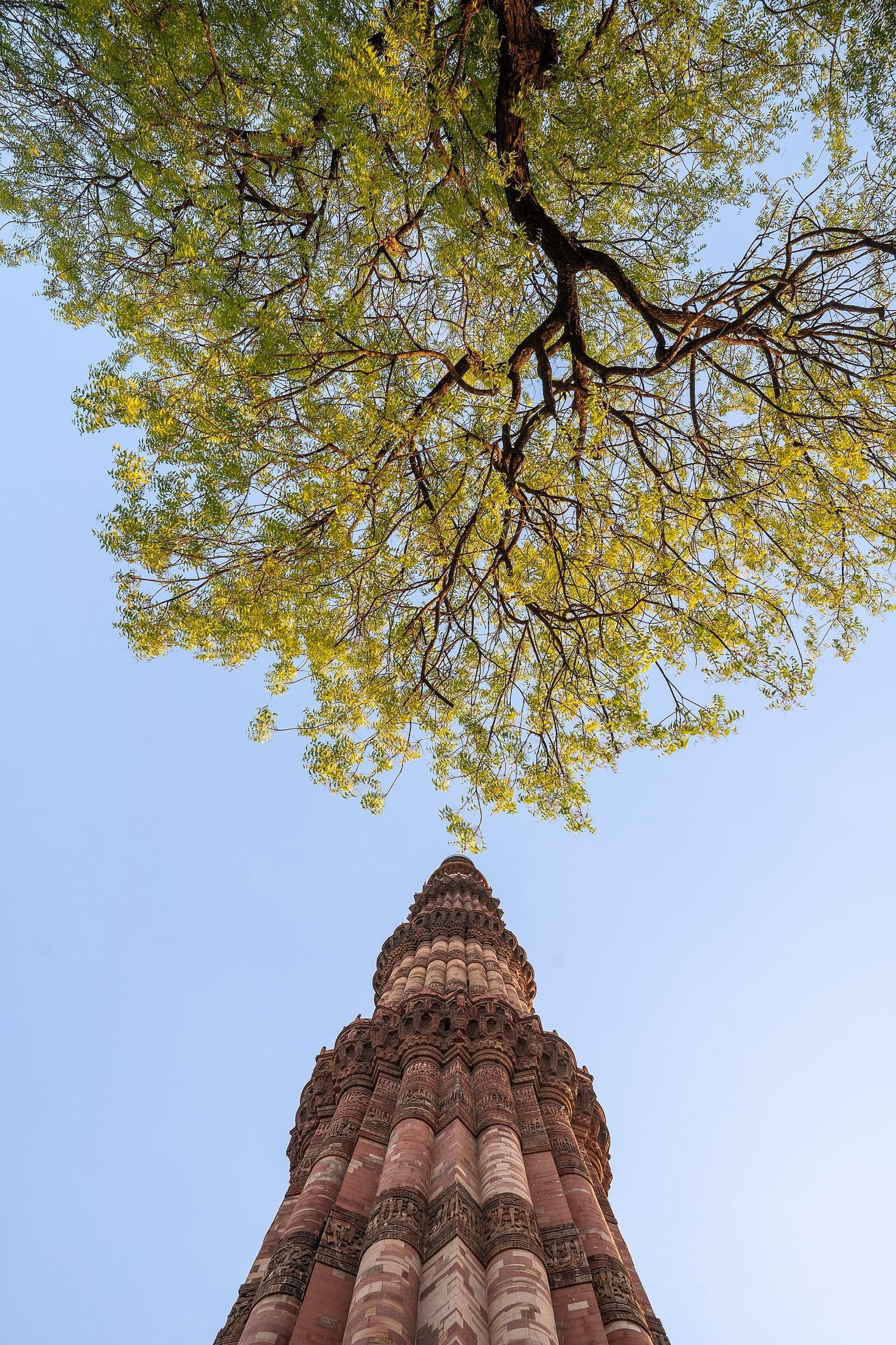 Qutb Minar rising above trees in South Delhi