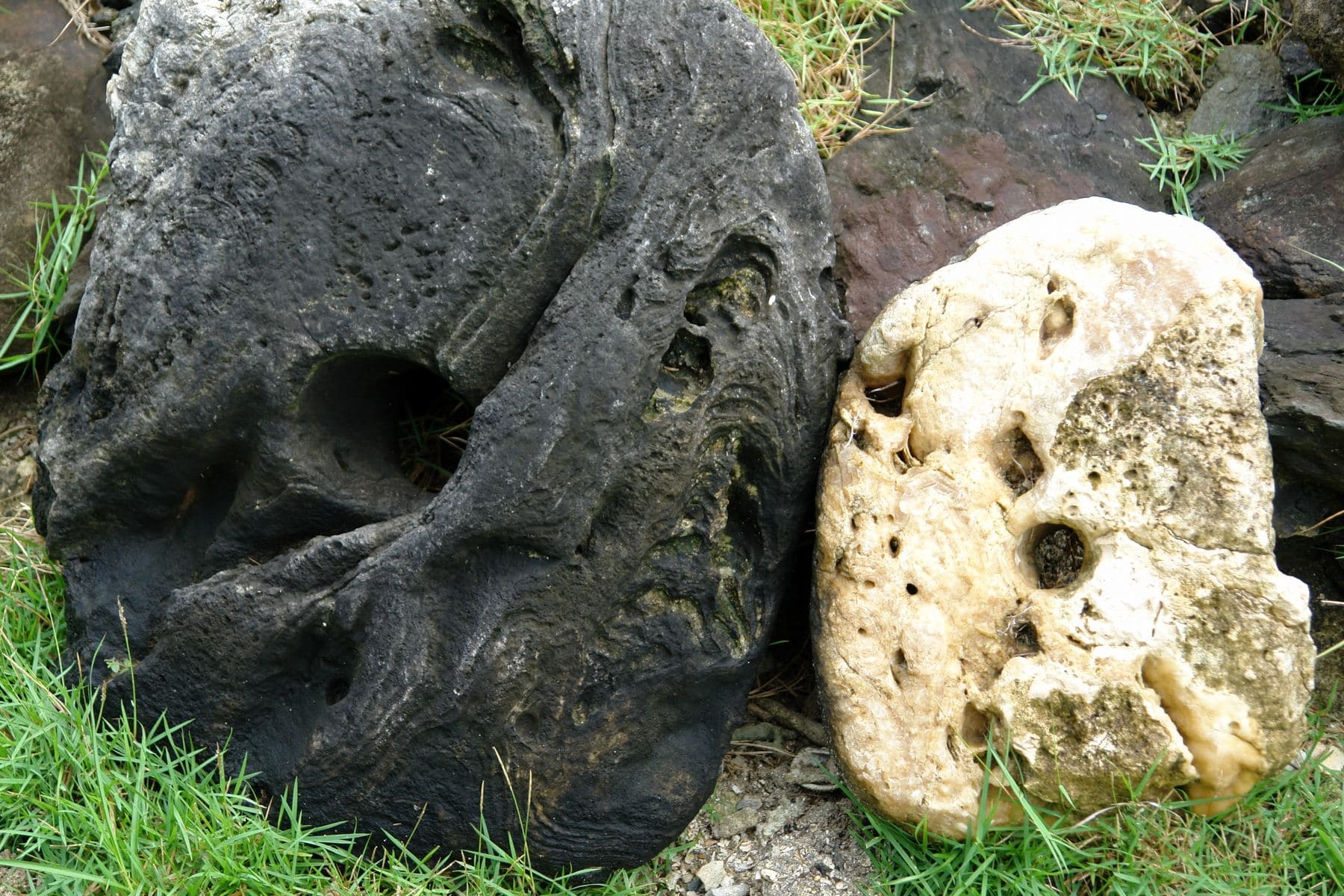 Traditional Yap stone money (rai) disks standing outdoors