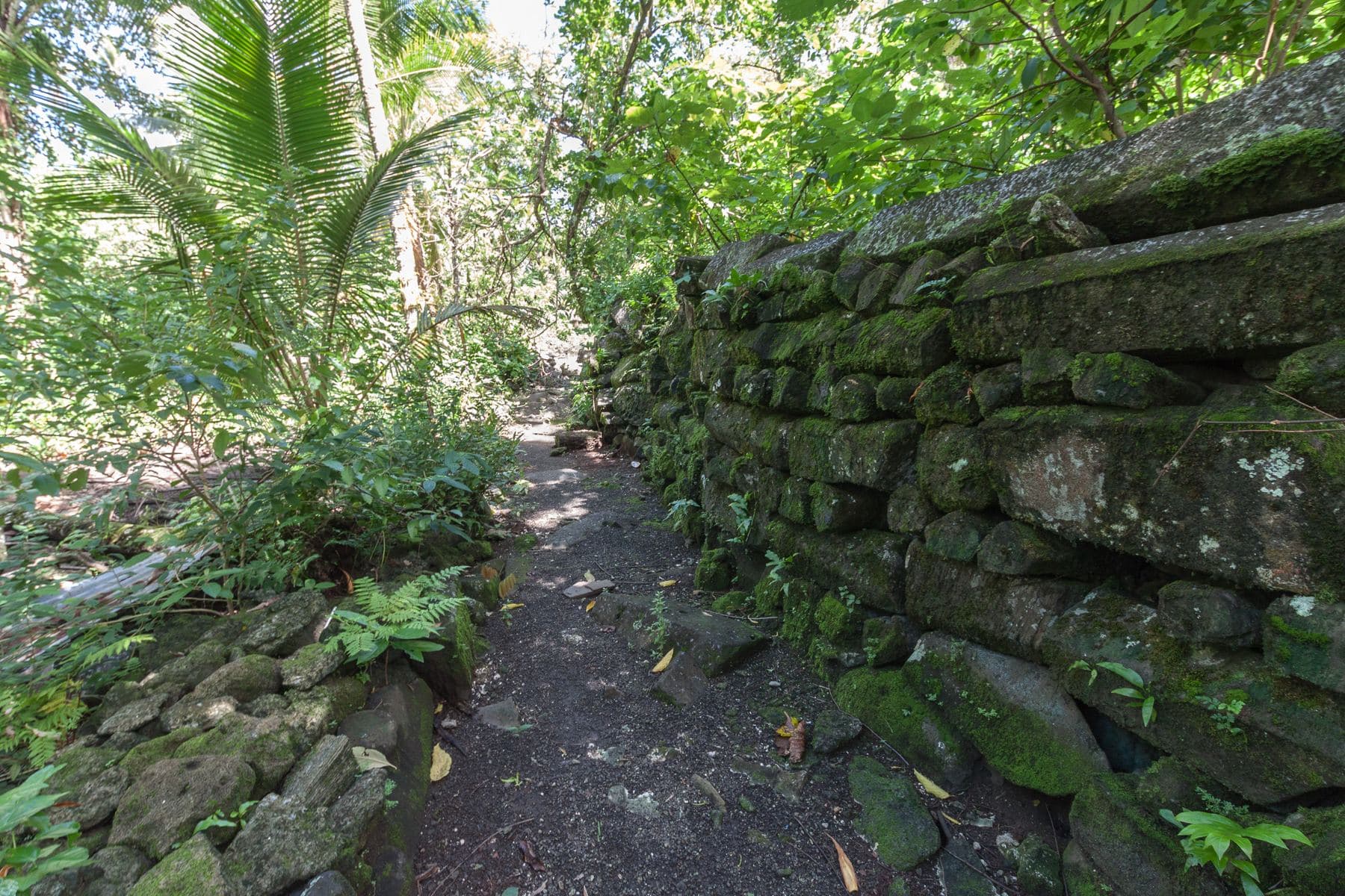 Stone ruins at Lelu, Kosrae