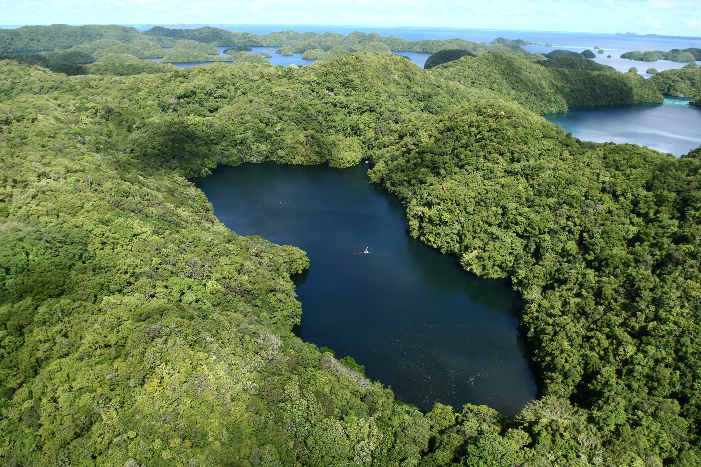 Aerial view of Jellyfish Lake on Eil Malk, Palau