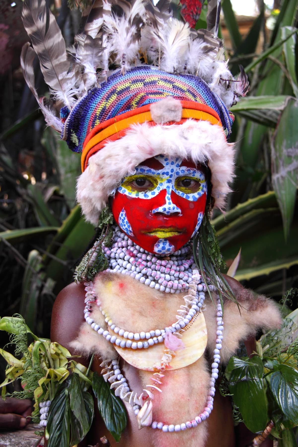 Participant in traditional dress at the Mount Hagen Cultural Show, Papua New Guinea