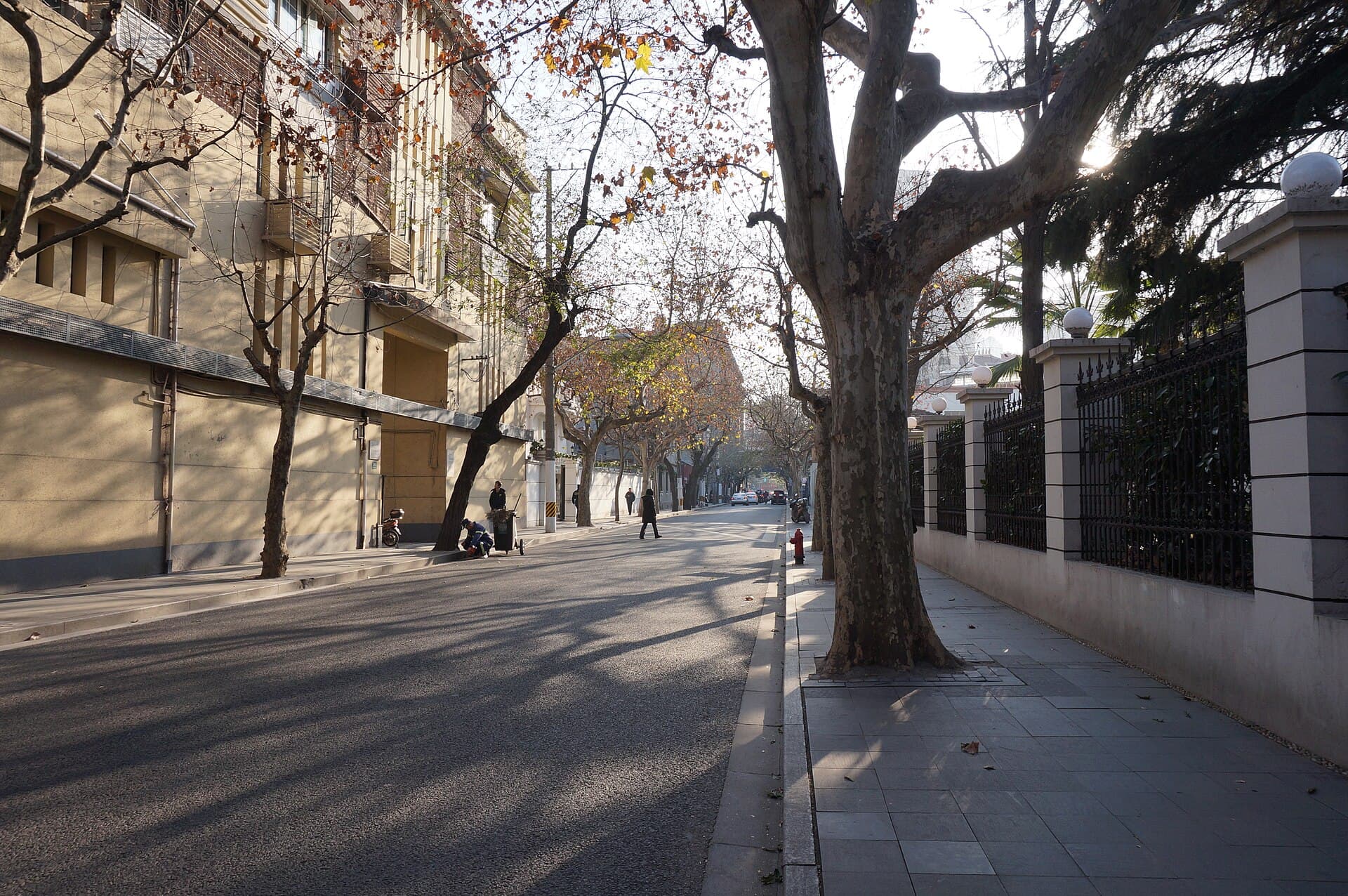 Tree-lined Wukang Road in Shanghai’s former French Concession