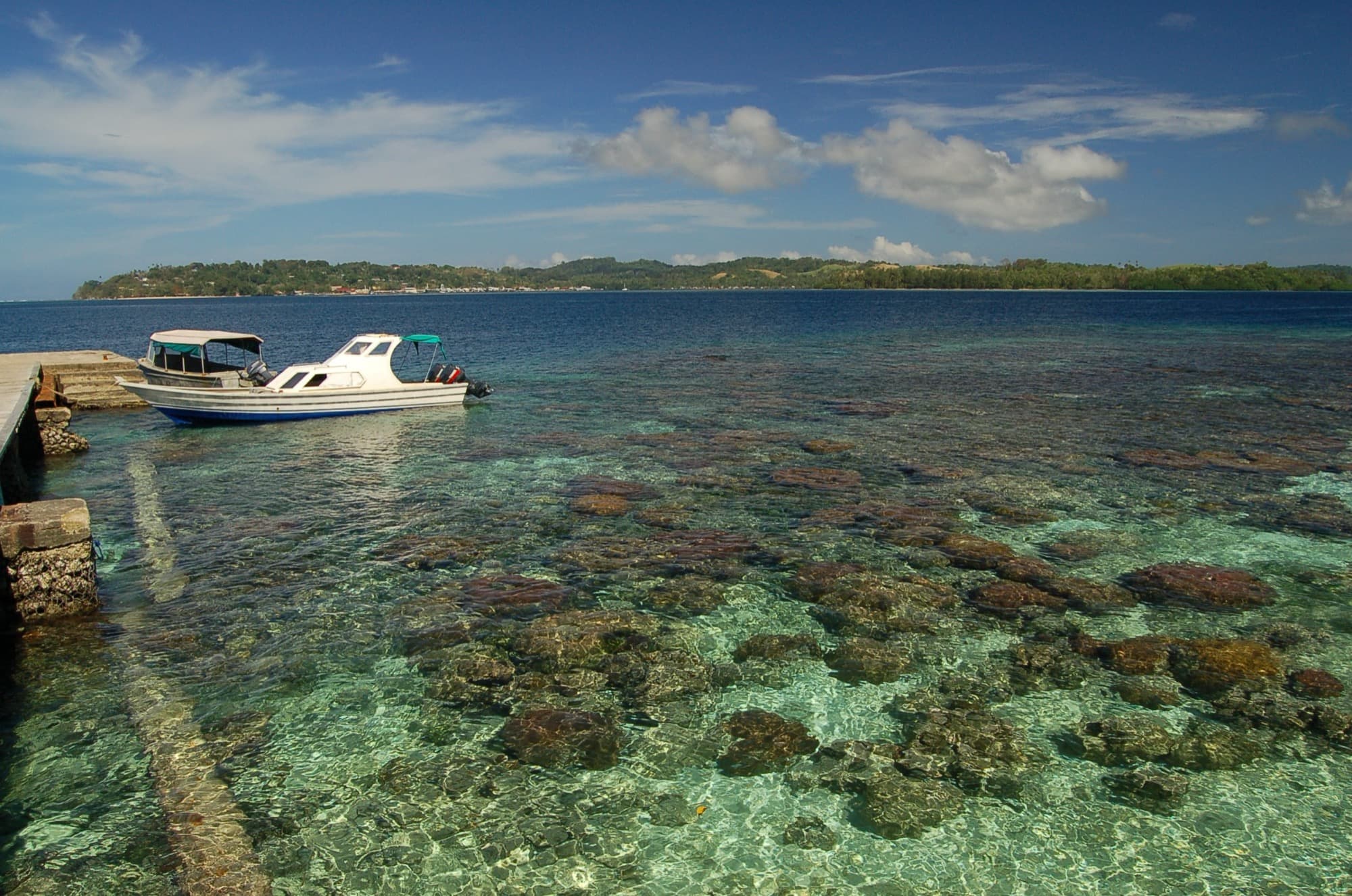 Coral reef near the Gizo airstrip, Solomon Islands